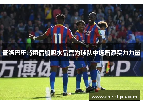 查洛巴压哨租借加盟水晶宫为球队中场增添实力力量